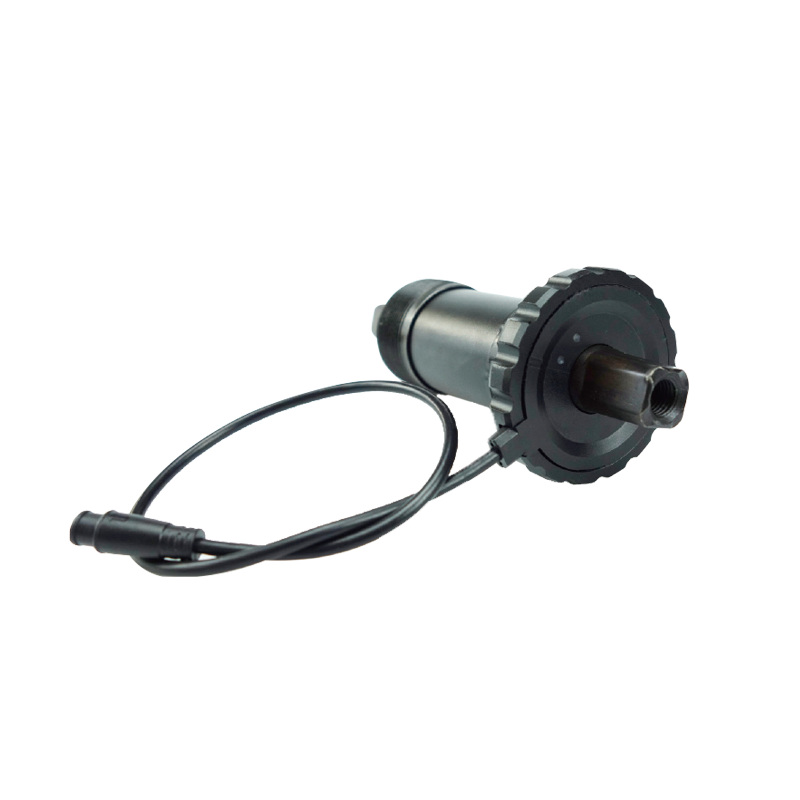 Torque sensor